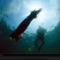 Giant Squid and Diver