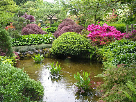 Gyönyörű kertek Japánból 8