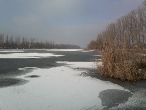 A Kft. dányi horgásztava 2010. január