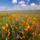 Carrizo_plain_national_monument_california_535073_14619_t