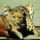 Cheetah_stranglehold_botswana_1998_535608_45445_t