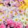 Colorful_chrysanthemums_535154_37658_t