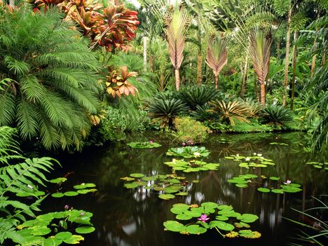 Hawaii Tropical Botanical Gardens, Hawaii