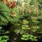 Hawaii Tropical Botanical Gardens, Hawaii