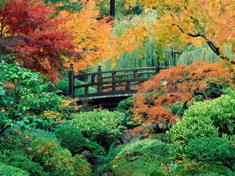 Japanese Garden, Washington Park, Portland, Oregon