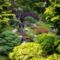 Japanese Tea Garden, Golden Gate Park, San Francisco, California