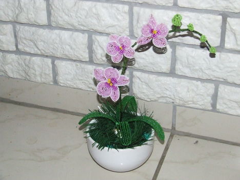 orhidea Áginak