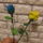 Sarga_kekkel_535314_72791_t