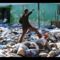 A természet ereje - megsemmisült Haiti 20