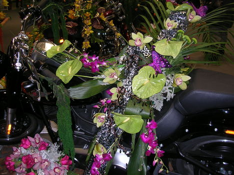 2009 Kecel virágkiállítás 8