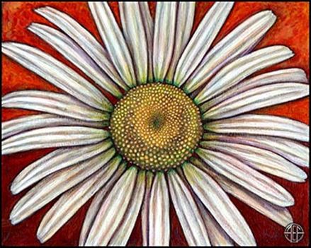 Amy E. Faser ox_eyed_daisy