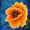 Amy E. Faser poppy_21_midnight_flame