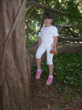Nagymágocsi kastélyparkban, a lányom ül egy öreg tiszafa ágán