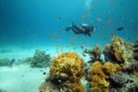Sharm el Sheikh víz alatti világa