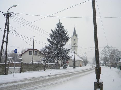 Darnózseli télen 2010.jan.21