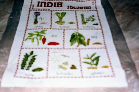 Indiai fűszerek képnek
