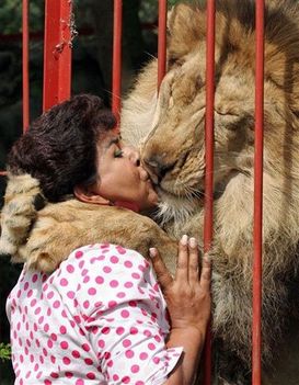 "állati" csók 29