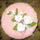 Kathys__pink_birthday_cake_jan_542854_99723_t