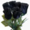 fekete rózsa 2