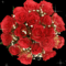 vörös rózsa 1