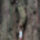 Fa__544297_52628_t