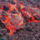 Etna-009_545603_20553_t