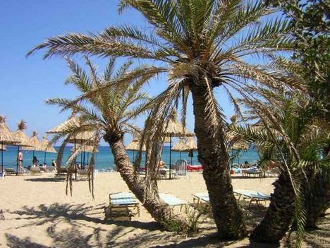 Vai, Palm beach, Kréta legkeletibb csücskében található