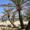 Vai, Palm beach, Kréta legkeletibb csücskében található