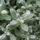 Cimg8216_546157_90081_t