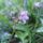 Cimg8259_546156_73022_t