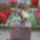 Egy_lovaszsoke_siremleke_a_horgeni_temetoben_zurich_kanton_svajc_546039_35956_t