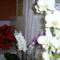 Lepkeorchideák