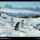 Cormorant_island_penguins_antarctica_1988_504053_58068_t