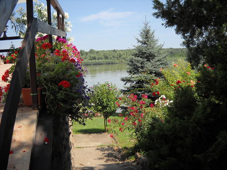 Duna virágokkal