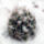 Echinocereus_triglochidatus-001_540447_78260_t