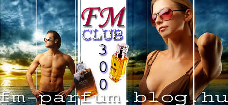 fmgroup_club300