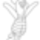 Micimacko_010_552459_67894_t