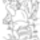 Micimacko_01_552450_38518_t