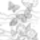 Pillango_05_552272_38925_t