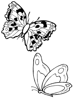 Pillangó 07