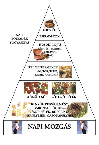 fogyás táplálkozási piramis