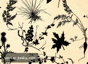 04122008-231959-Floral-Vectors-ai-vectorjunky