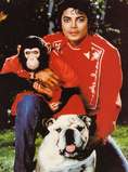 Michael Jackson 3