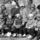 Bocskei_imre_baboti_ovisok_555224_63907_t