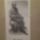 Cimg7636-001_556369_50599_t