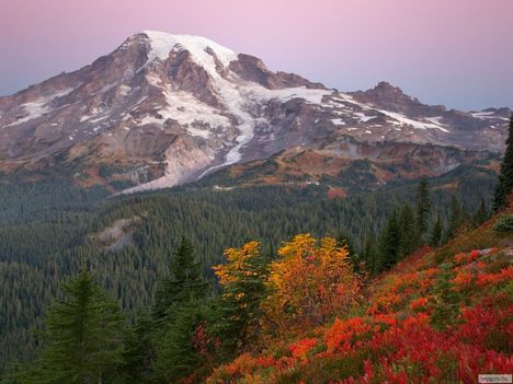 Napkelte, Mount Rainer Nemzeti Park, Washington, USA