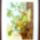 Buday_csilla15_557302_58432_t