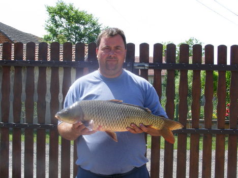 Tisza