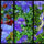 V_g_beata12_557252_64312_t