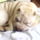 Fenykepek0037_558722_77326_t